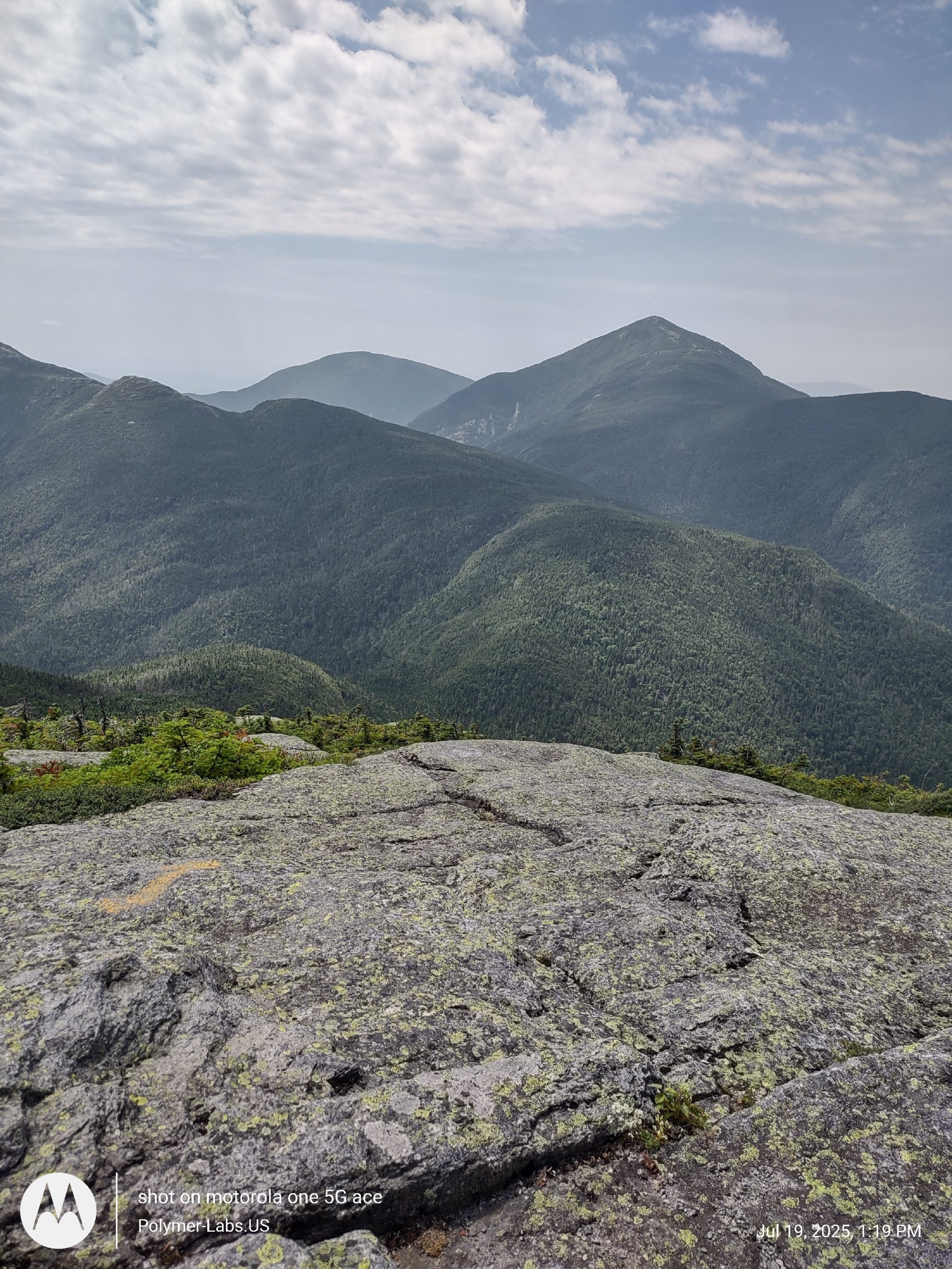 Original Healing Balm: 1000mg/oz CBD 2 ounce container - Image 5